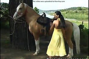 finds horse porn