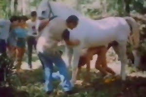 bestiality porn horse porn