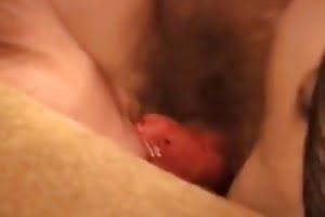 free-beastiality-porn dog porn