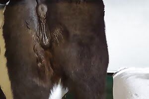 zoo pussy gonna