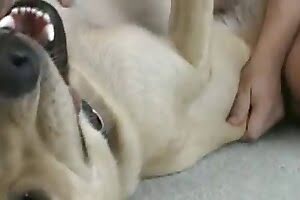 dog porn bestiality porn