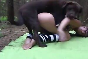 stunning bestiality porn