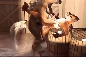 bestiality porn dog porn