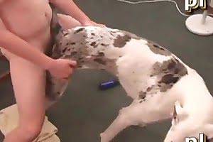 dog porn animal fuck
