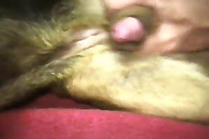 bestiality porn dog porn