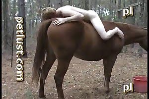 guy-fucks-dog animal fuck