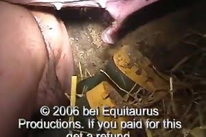 farm sex animal fuck