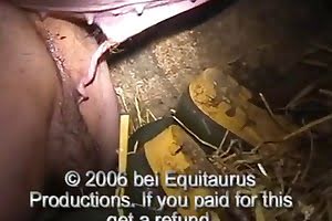 farm sex animal fuck