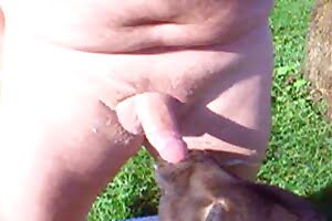 dog porn zoo dick