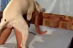 videos bestiality porn