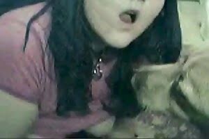 bestiality porn curious