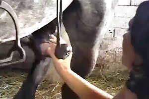 zoo sex dog porn