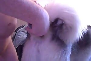 zoo sex bestiality porn