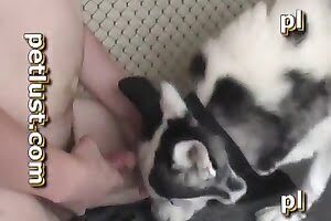 zoo sex bestiality porn