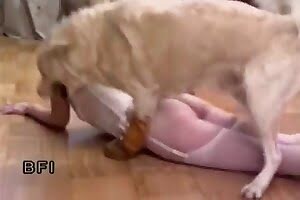 zoo pussy dog-fucks-blonde 