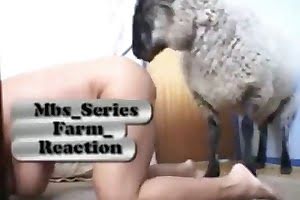 christmas zoo sex