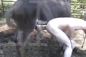 bitch girls-having-sex-with-animals 