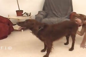 beast animal fuck
