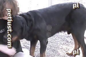 twist dog porn