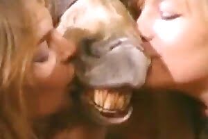 farm sex bestiality porn