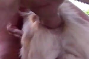 bestiality porn dog porn