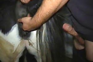 bestiality porn mashed