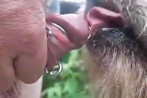 dog porn zoo sucker