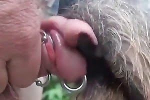 dog porn zoo sucker