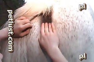 strange dicked