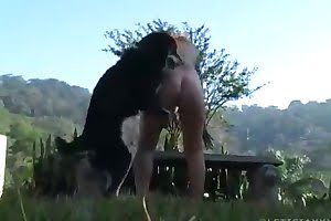 dog porn zoo pussy