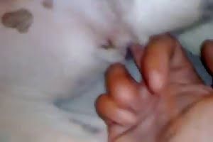 guy-fucks-dog animal fuck