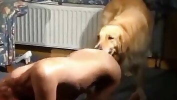 nadržený sex,bezplatné zoo-porno video