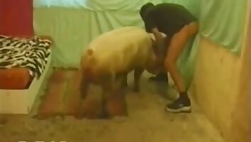 gay zoo-porno,farmářský sex