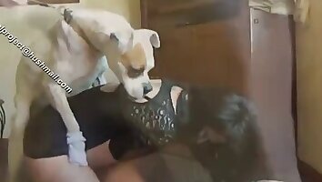 sexo oral,animal folla mujer