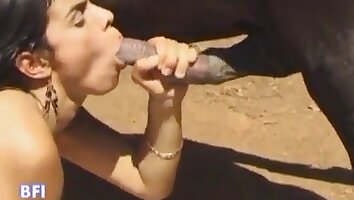 orální sex,anální zoo-porno
