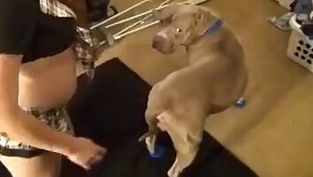 pet sex,zoo porn with dog
