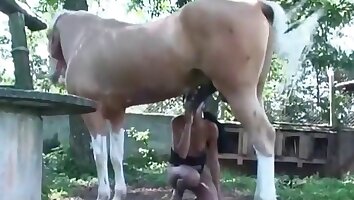 huge dick,farm sex