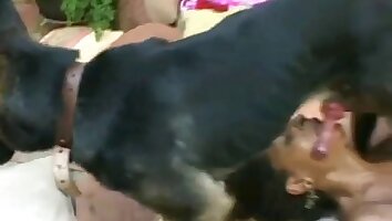 sesso hardcore con animali,sesso intenso