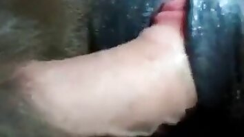 огромные члены и гигантские хуи,дикое порно