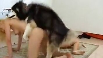 zoofilie sex video,sex se psy zdarma