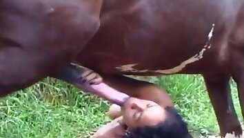 hardcore animal sex,rough fucking