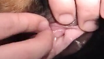 pet sex,hardcore animal sex