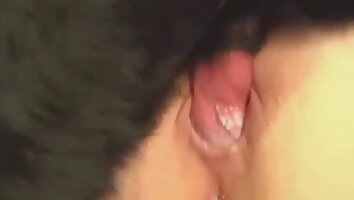 intense sex,wild porn