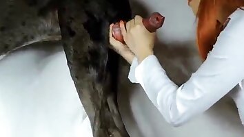 sesso orale,figa che scopa