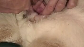 huge dick,rough fucking