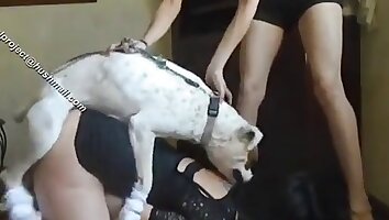 hardcore animal sex,hot brunette girls