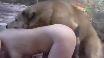 dievča súloží so zvieraťom,zoo-porno so psom