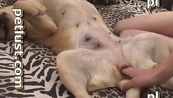 zoophilia sex video,animal and man sex