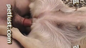 zoophilia sex video,animal and man sex