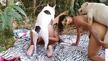rough fucking,group zoo porn